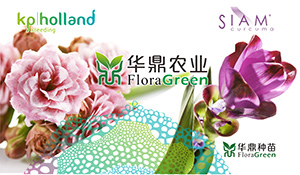 华鼎农业隆重参与第21届中国国际花卉园艺展览会